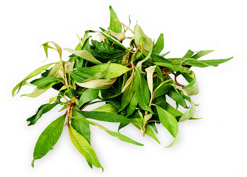 Nguyên liệu bánh tráng trộn rau răm